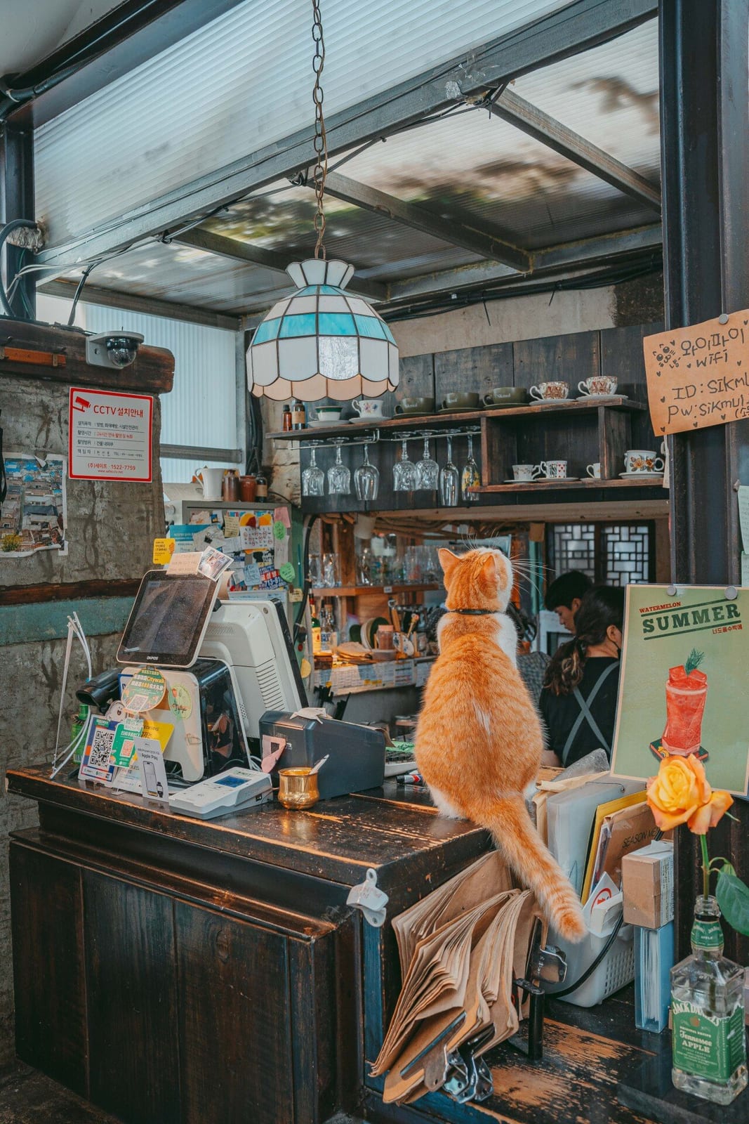 Plant Café, photo 3