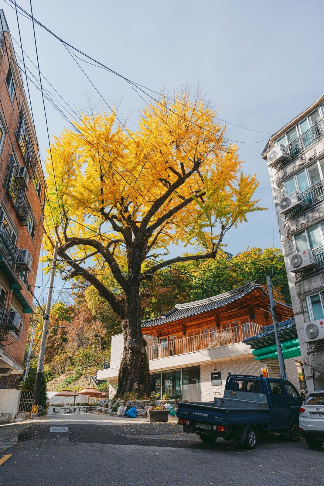 Hanok Café R1, photo 1