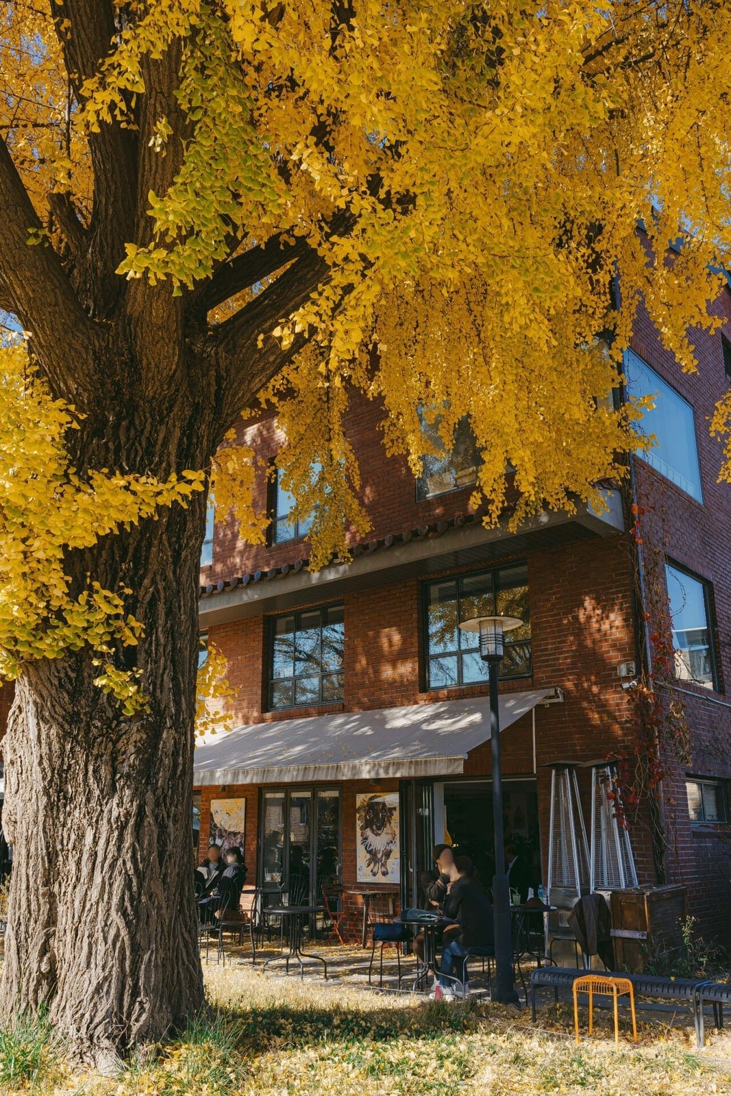 Textbook Café, photo 2
