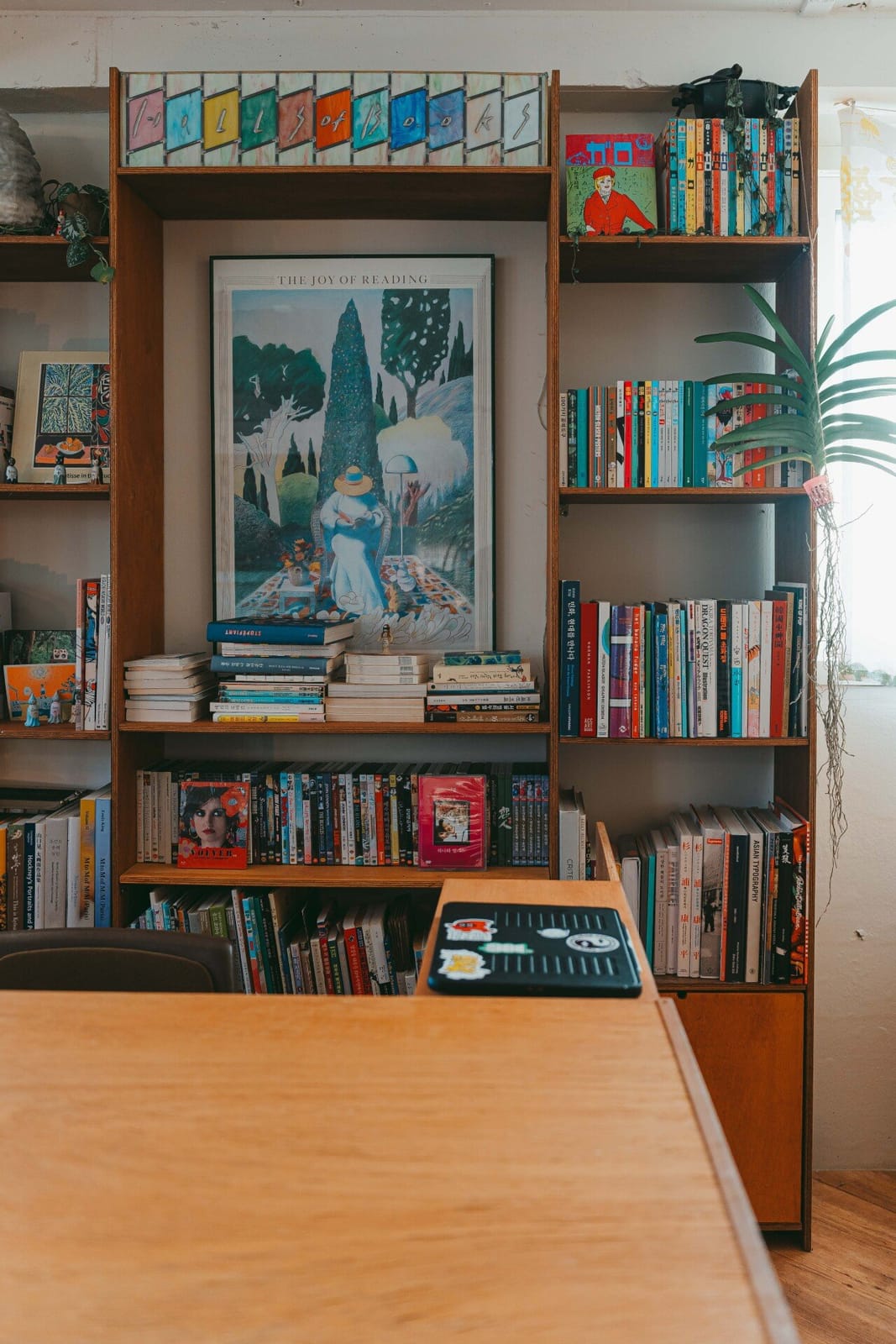 Hills of Books, photo 4