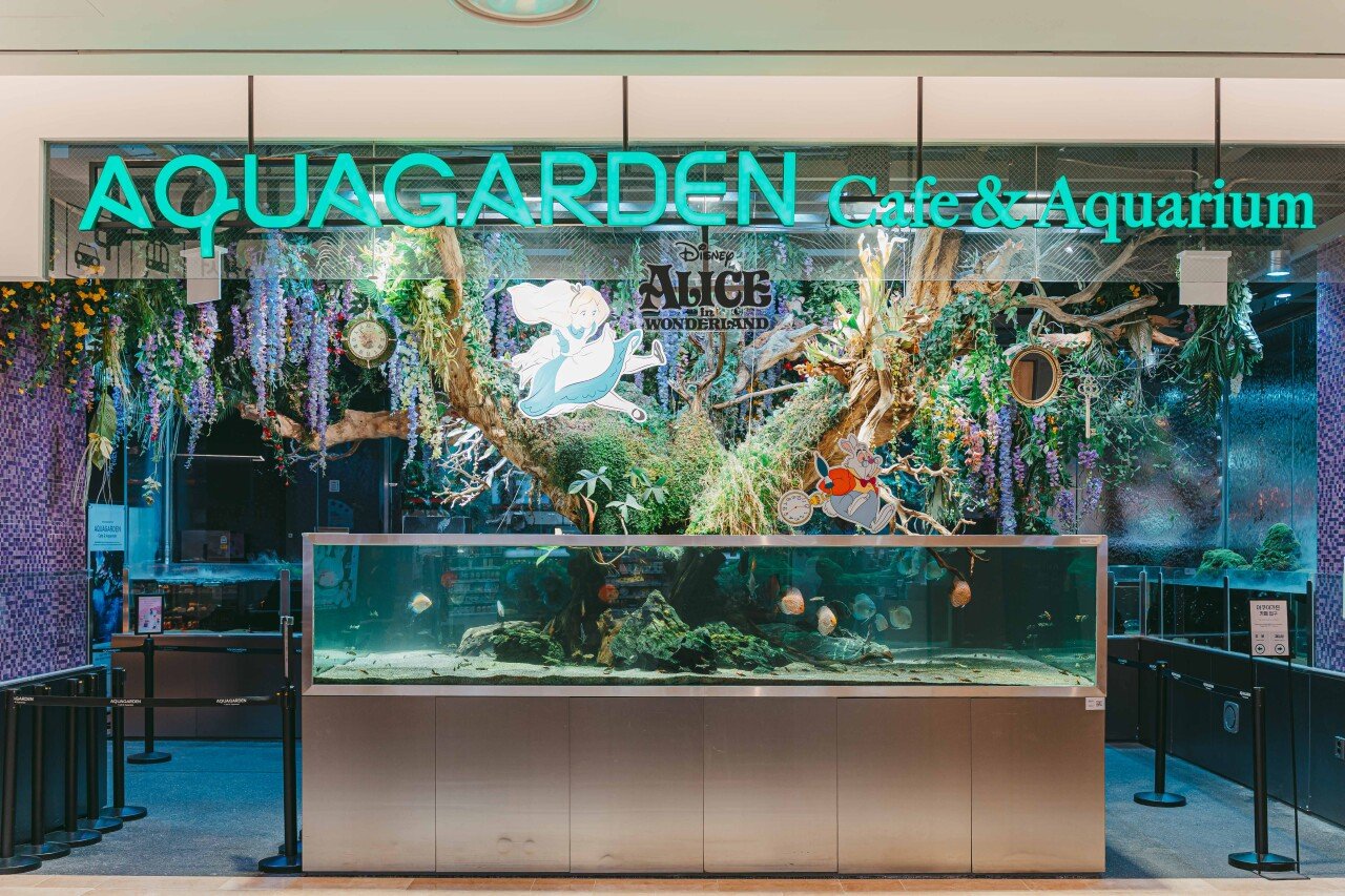 Aqua Garden Lotte World Mall, photo 1
