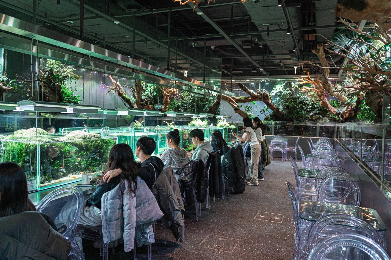 Aqua Garden Lotte World Mall, photo 3