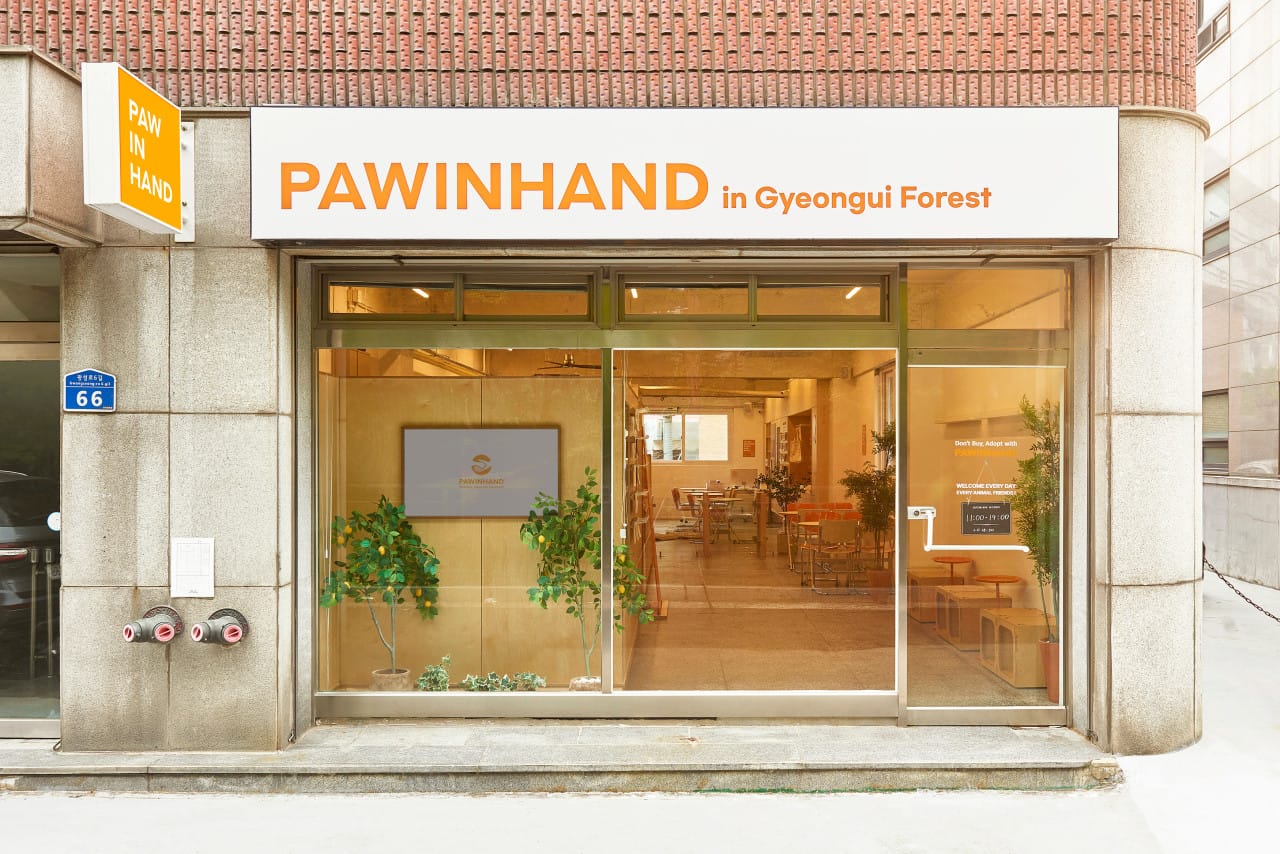 Paw in Hand Gyeonguisoop, photo 1