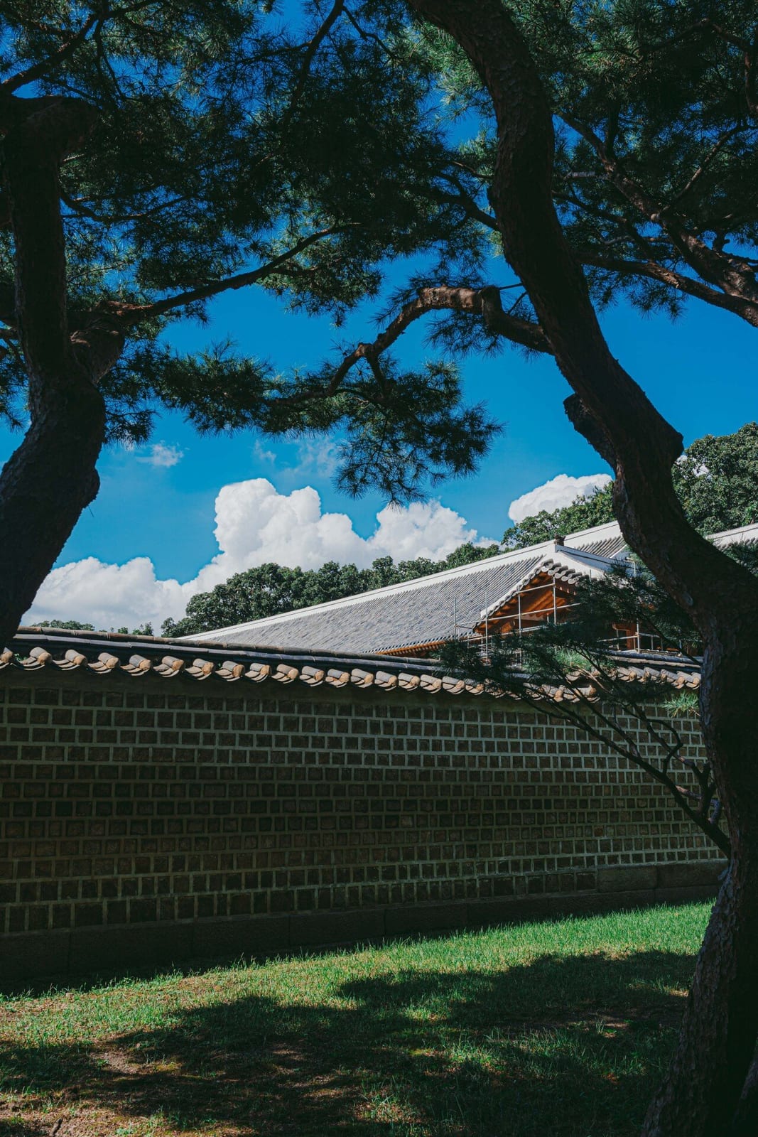 Jongmyo Shrine, photo 3