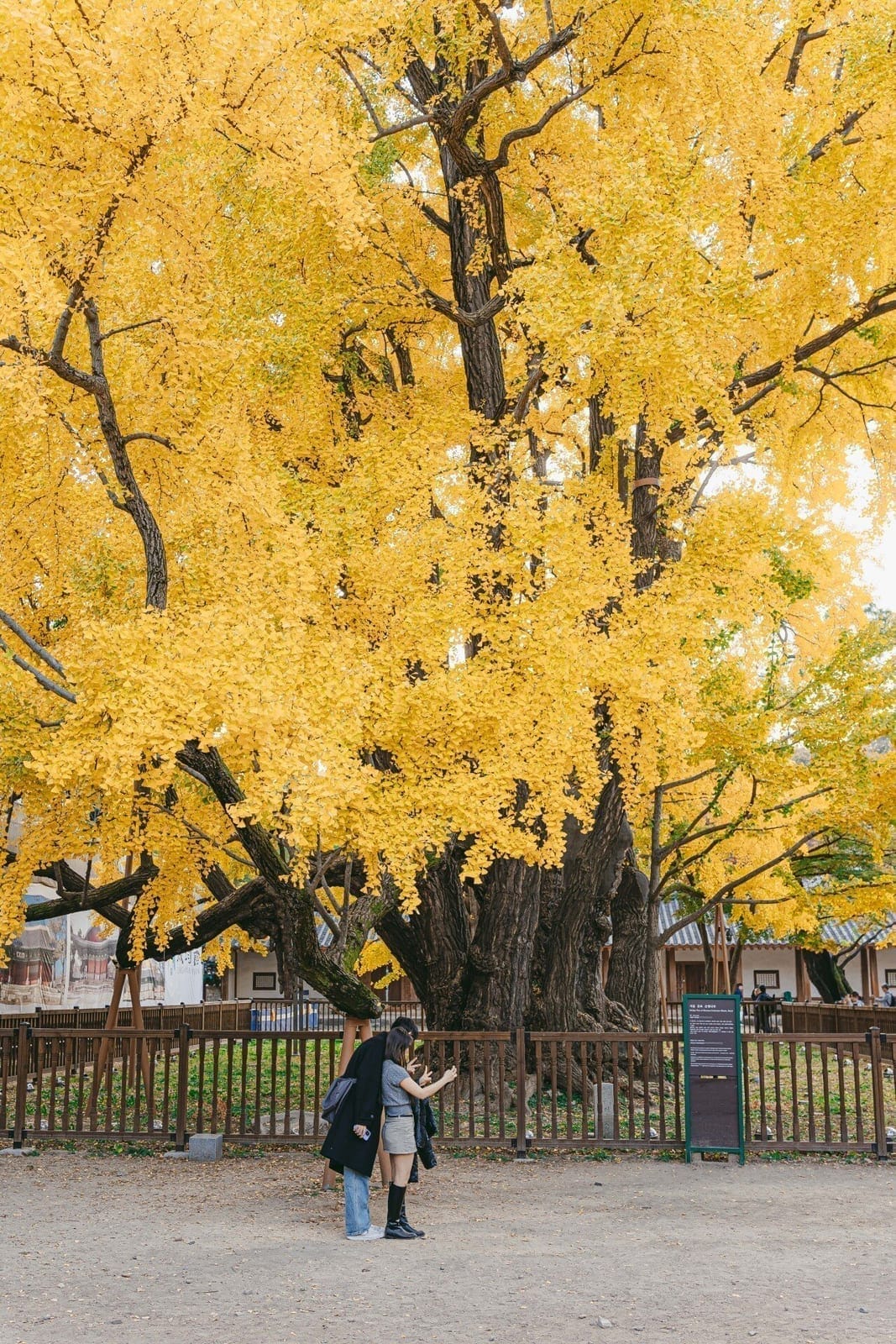 Seonggyungwan, photo 4
