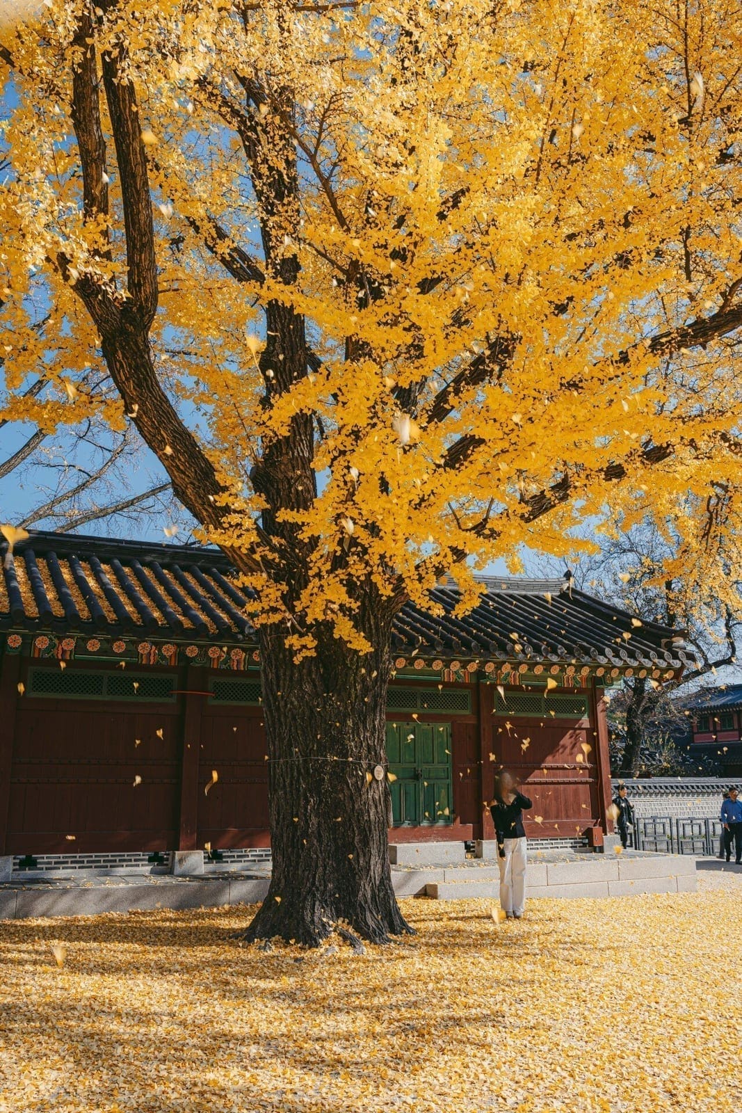 Changdeokgung, photo 2