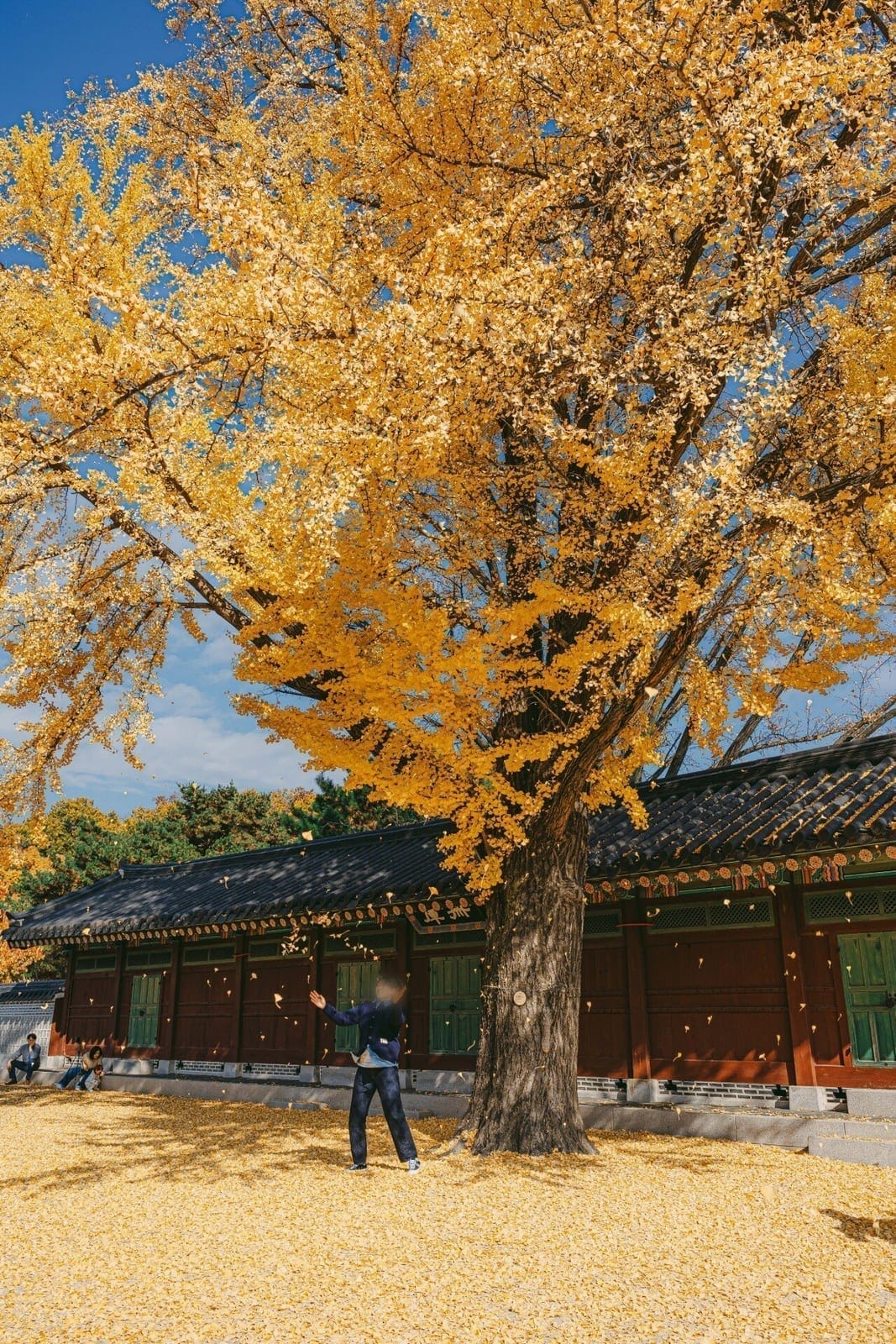 Changdeokgung, photo 3