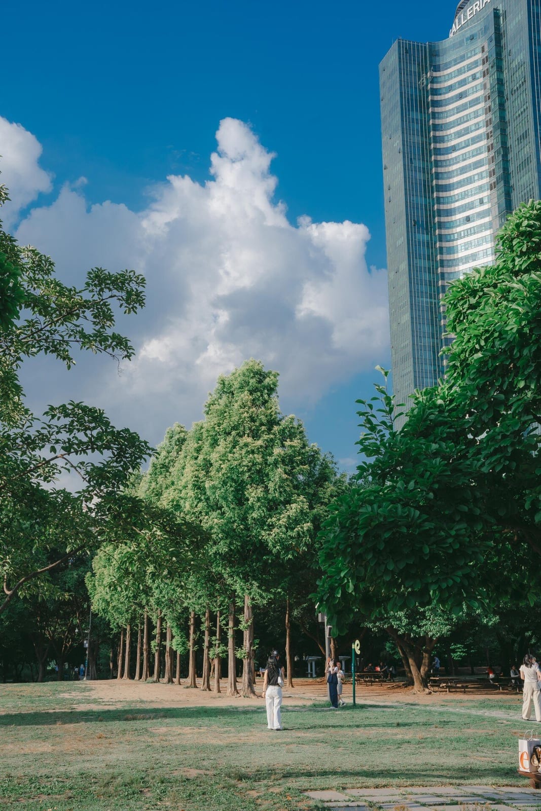Seoul Forest, photo 1