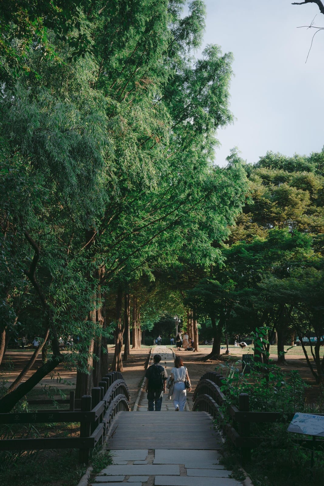 Seoul Forest, photo 2