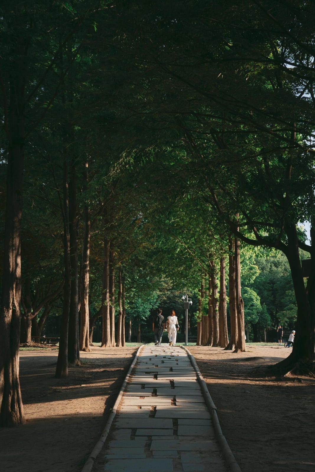 Seoul Forest, photo 3