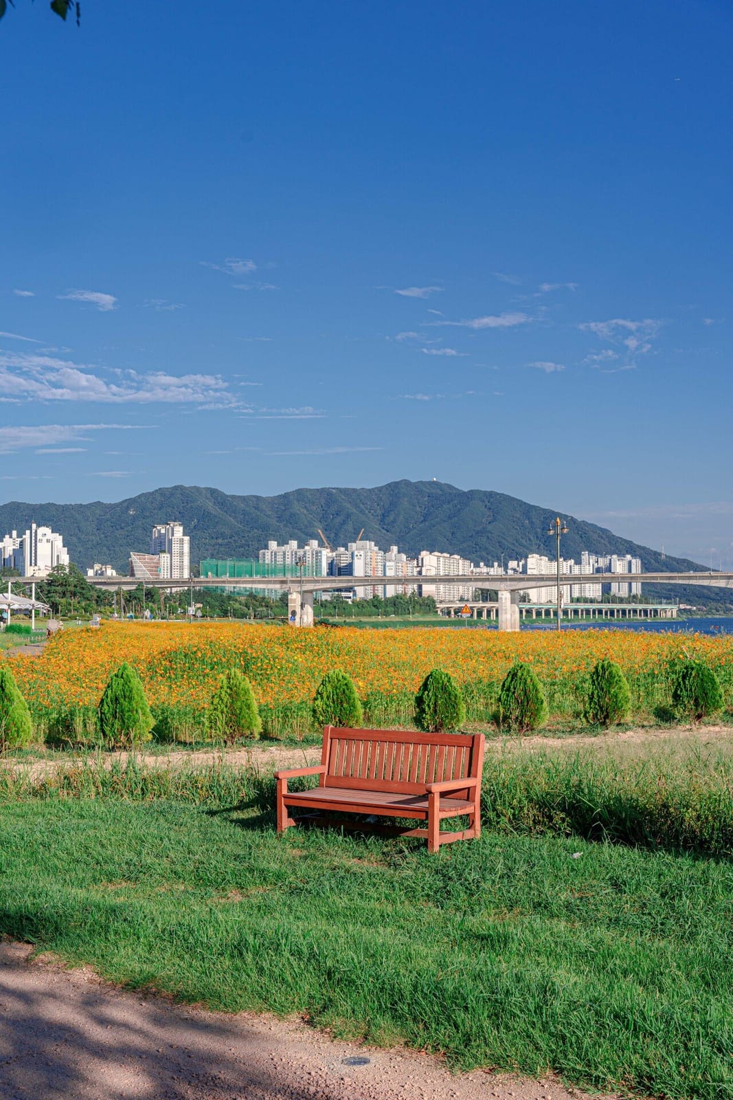 Namyangju Hangang Park Sampae District, photo 2