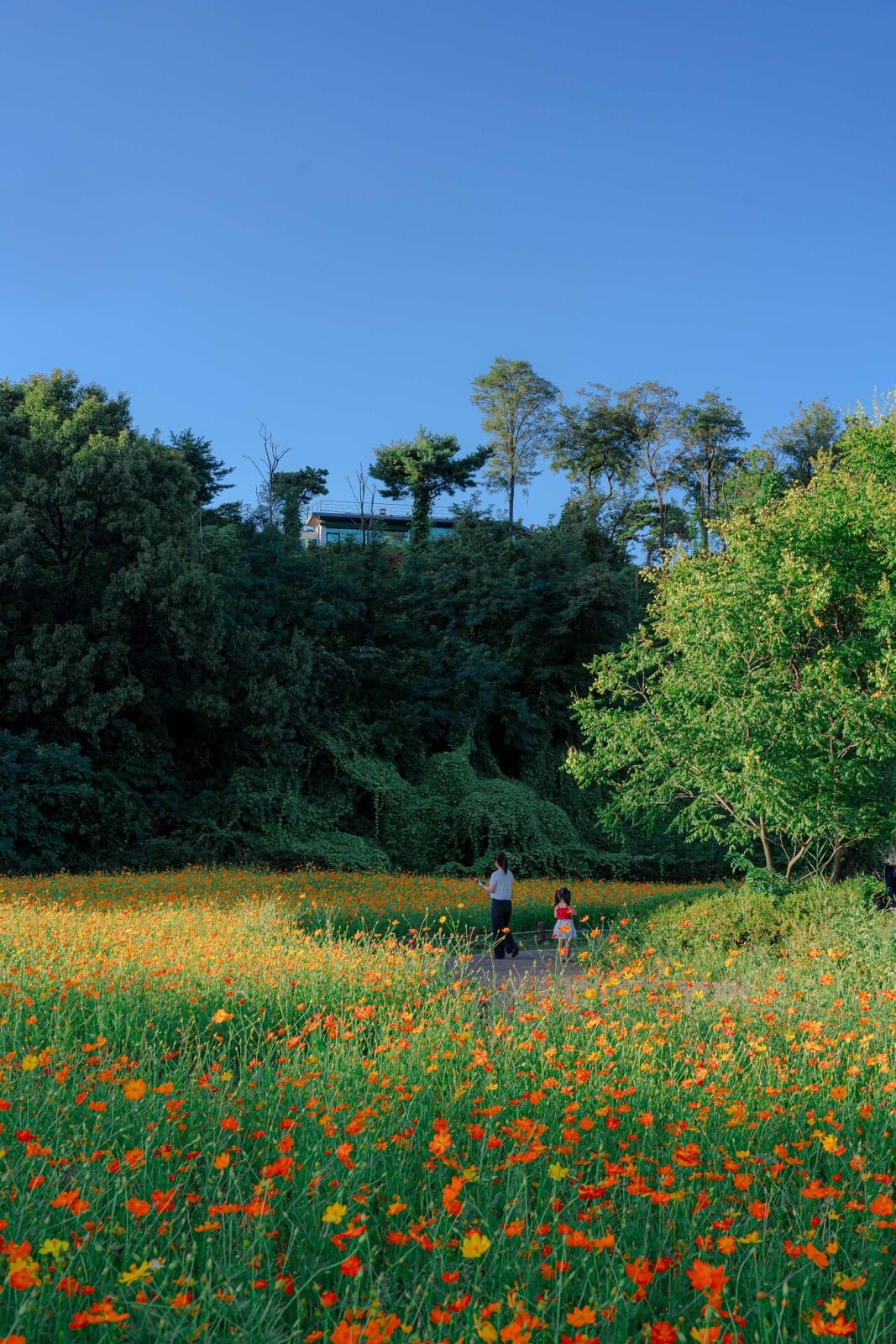 Namyangju Hangang Park Sampae District, photo 3