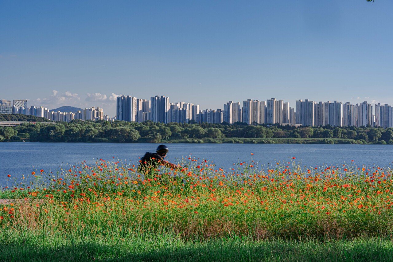 Namyangju Hangang Park Sampae District, photo 4