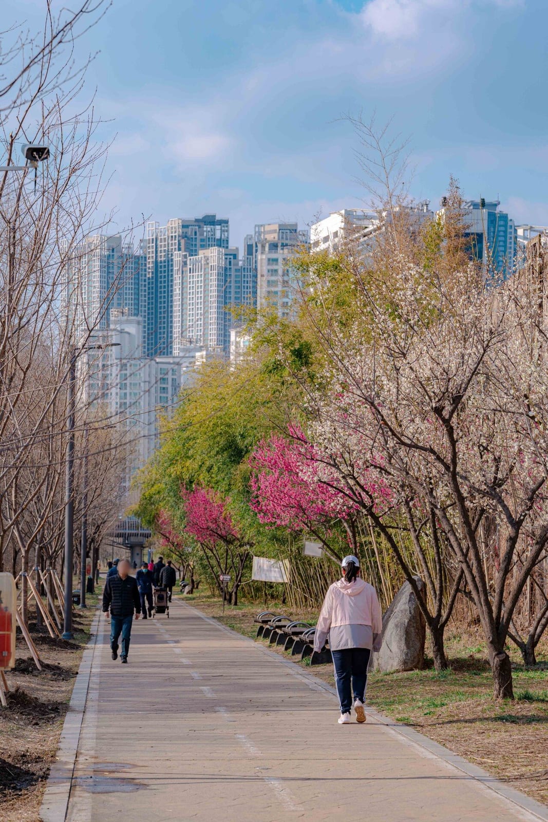Hadong Maesil-geori (Plum Blossom Street), photo 3