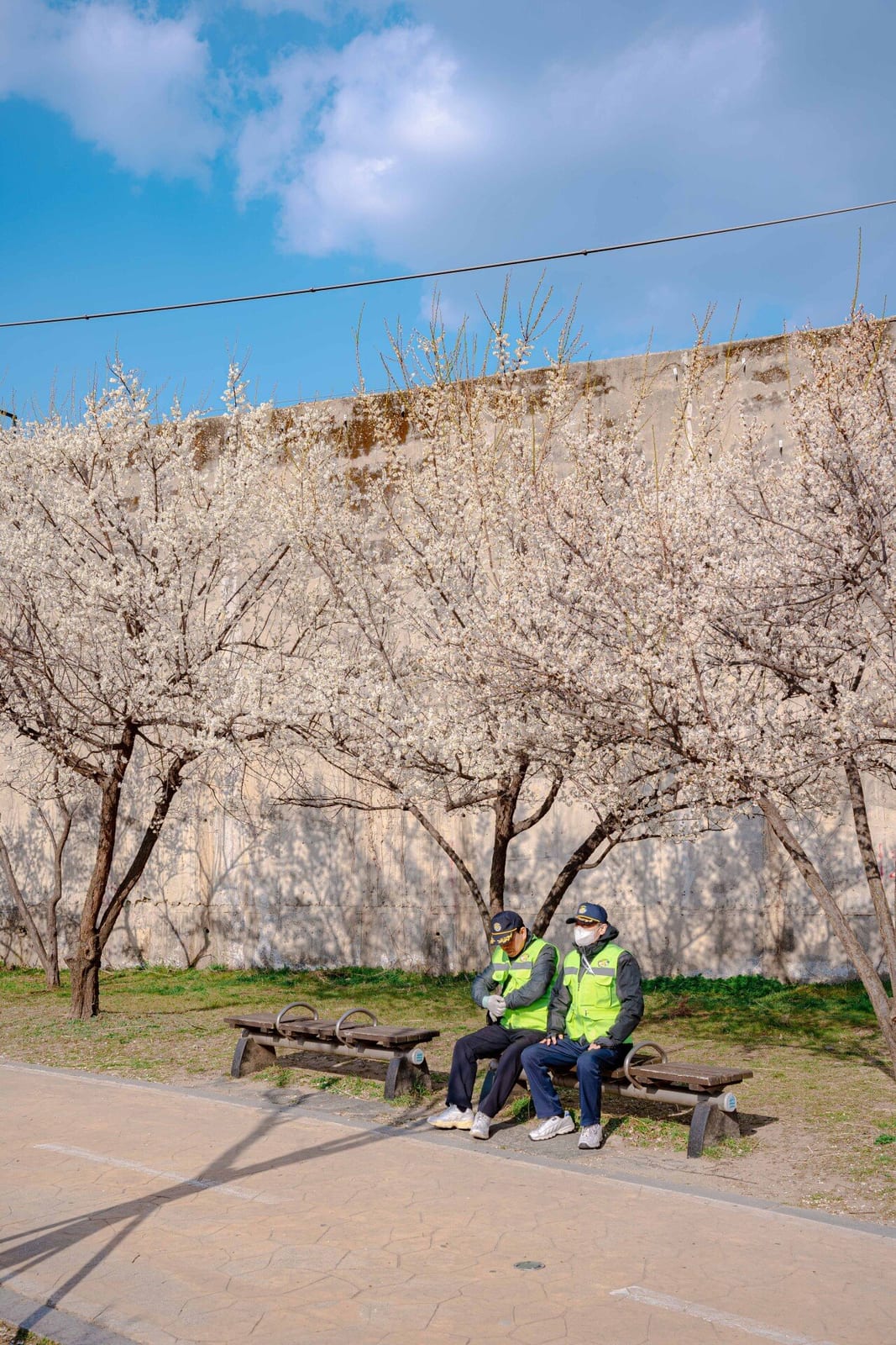 Hadong Maesil-geori (Plum Blossom Street), photo 4