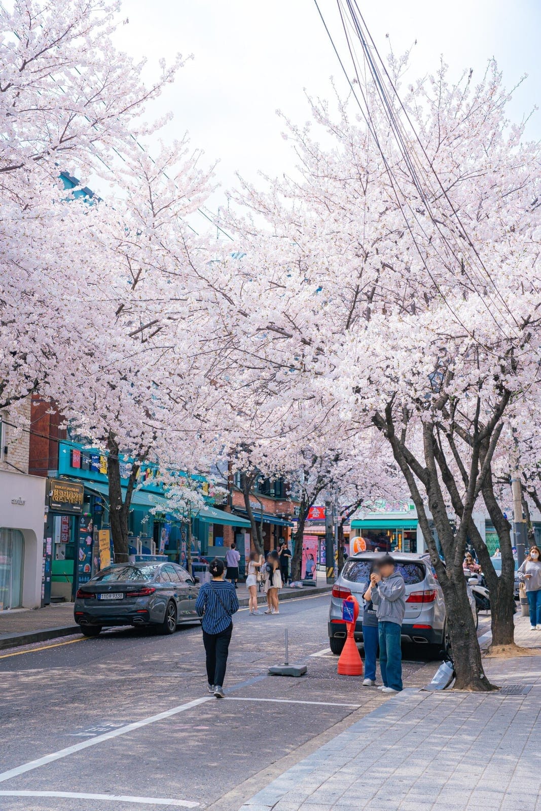 Hapjeong Yanghwa-ro 6-gil Cherry Blossom Street, photo 1
