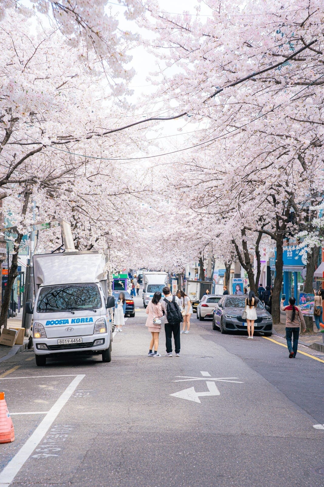 Hapjeong Yanghwa-ro 6-gil Cherry Blossom Street, photo 2