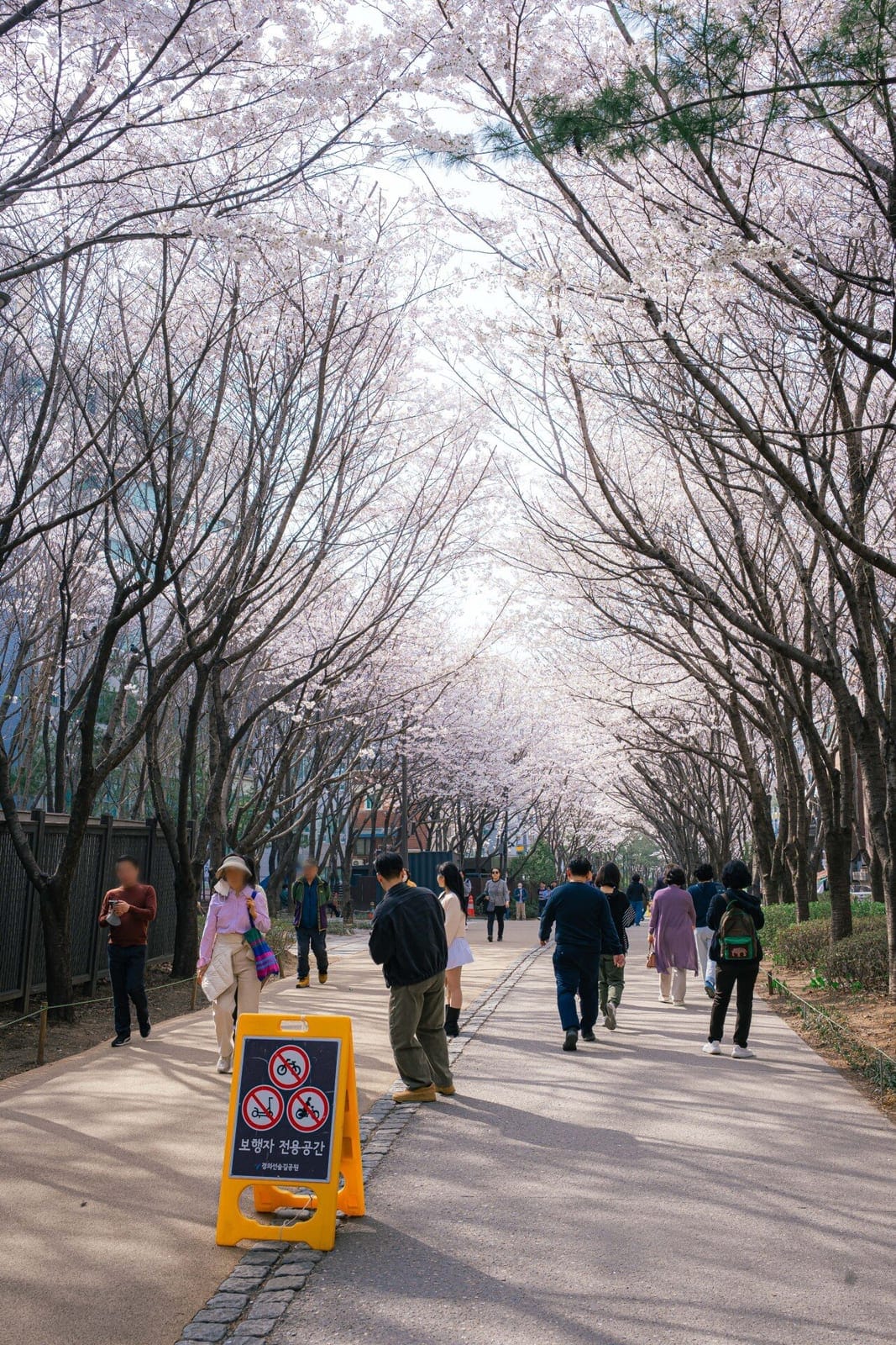 Gyeongui Line Forest Park (Daeheung Section), photo 2