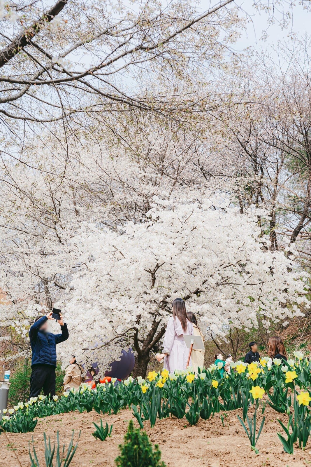 Yeonhui Forest Rest Area, photo 2
